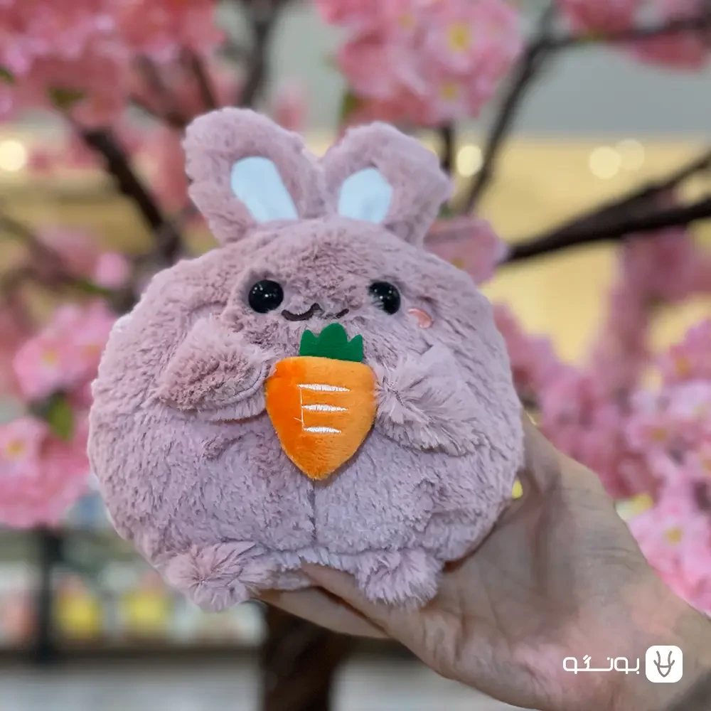 عروسک خرگوش هویج به دست یاسی