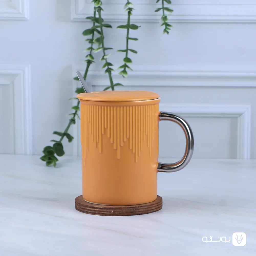 ماگ شیاردار
